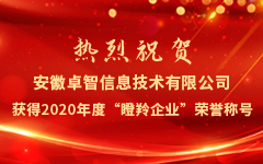 热烈祝贺安徽卓智信息技术有限公司获得2020年度“瞪羚企业”荣誉称号
